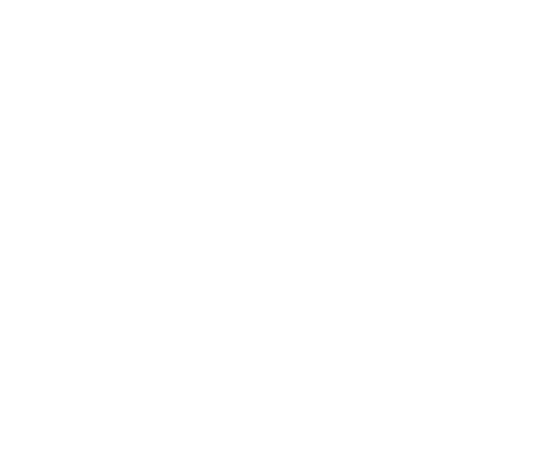 s&n landscapes logo upscaled white
